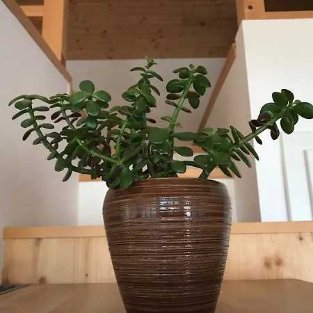 アパート Mountaintop リエンツ