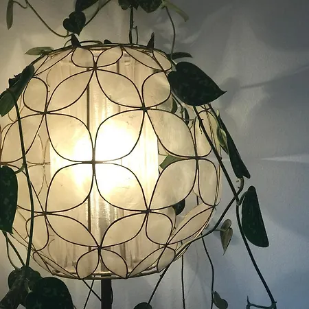 Apartmán Mountaintop