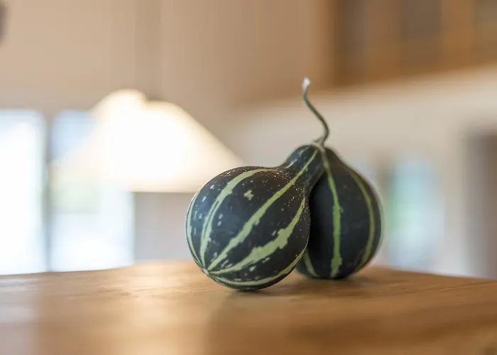 Апартаменты Mountaintop Лиенц