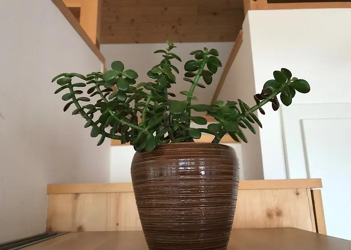 Апартаменты Mountaintop Лиенц