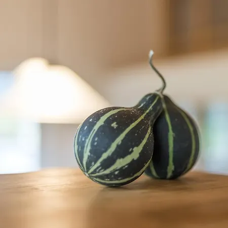 Apartament Mountaintop Lienz